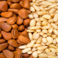 low price pine nut kernels